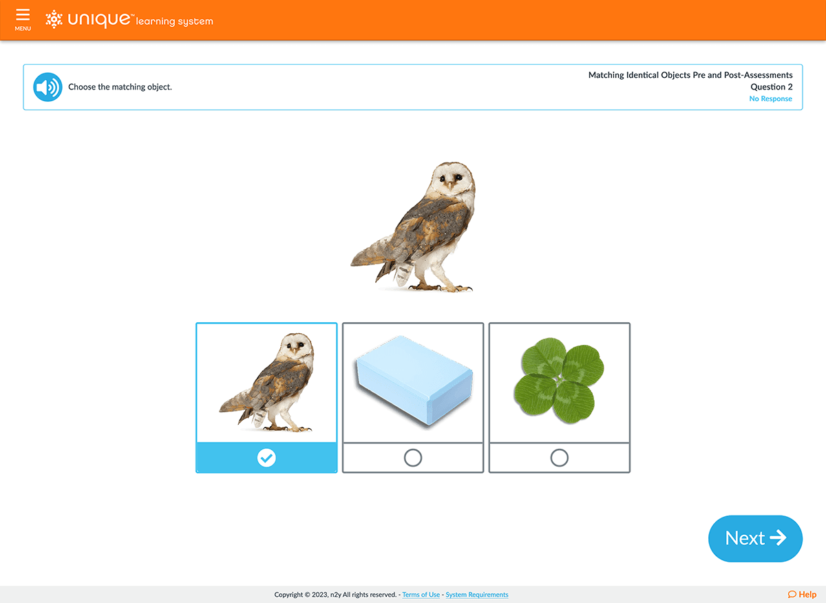 Matching an owl in Matching Identical Objects Pre- and Post-Assessments question number two