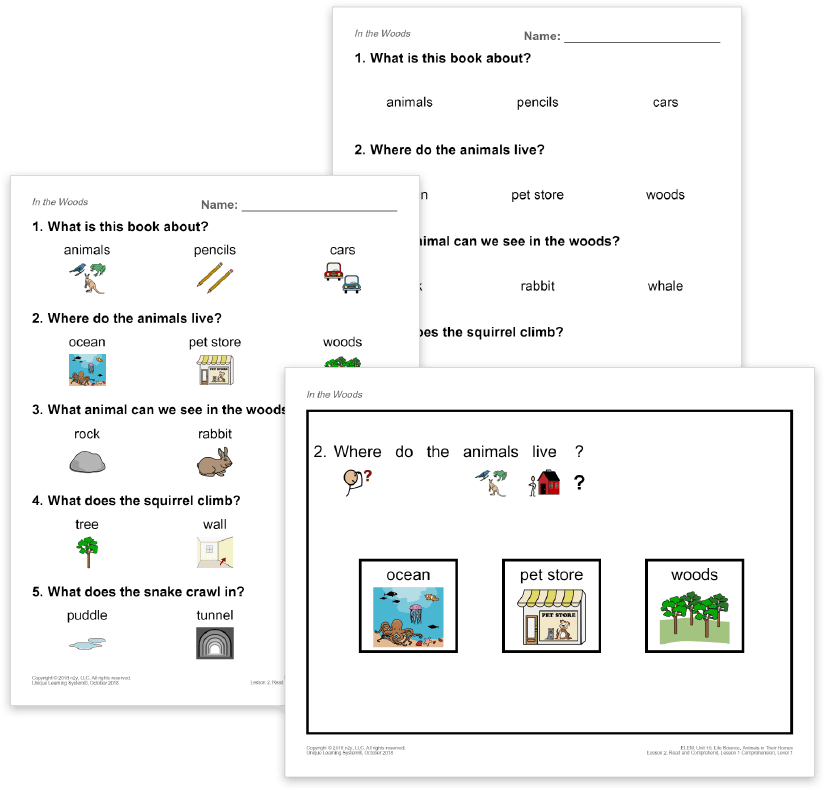 Unique Learning System Differentiated Lesson