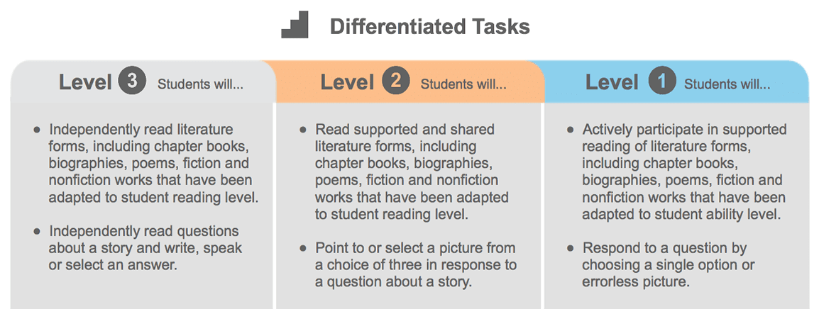 Three differentiated levels for a  lesson from Transition Passport Binder