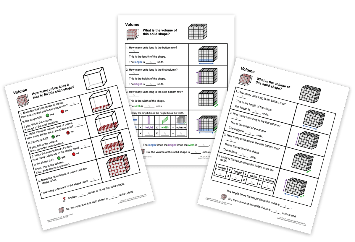 Unique Learning System Differentiated Math Lesson and Extended Standards